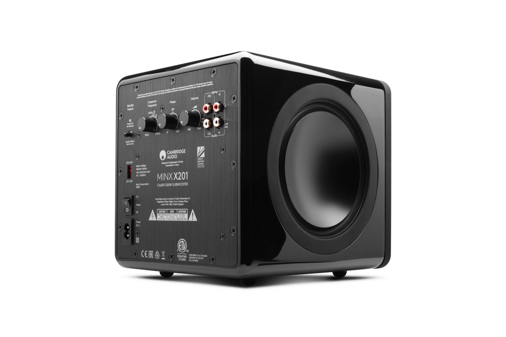 MINX X201 Subwoofer