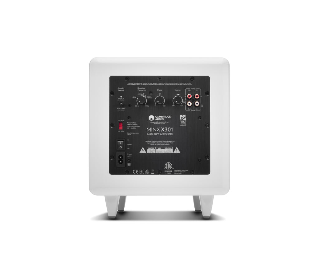 MINX X301 Subwoofer